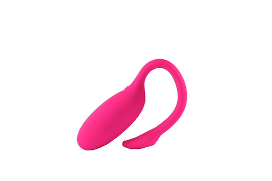 FLAMINGO CONTROL OR BE CONTROLLED AT ANY DISTANCE